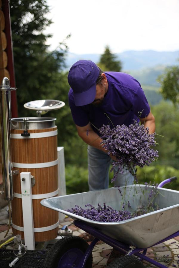 Lavender Valley Perekrestnoye Exteriér fotografie